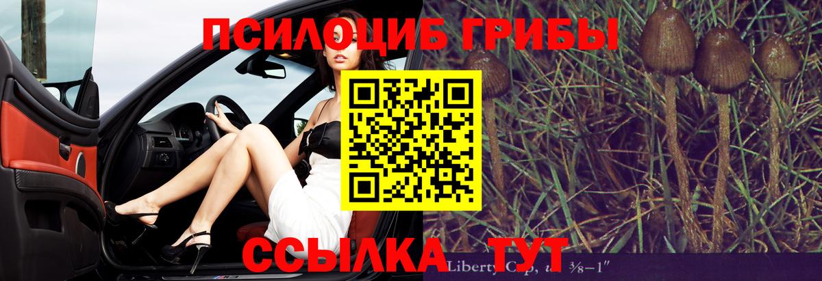 хочу   Вход с VPN  Тосно  Псилоцибиновые грибы мухоморы 